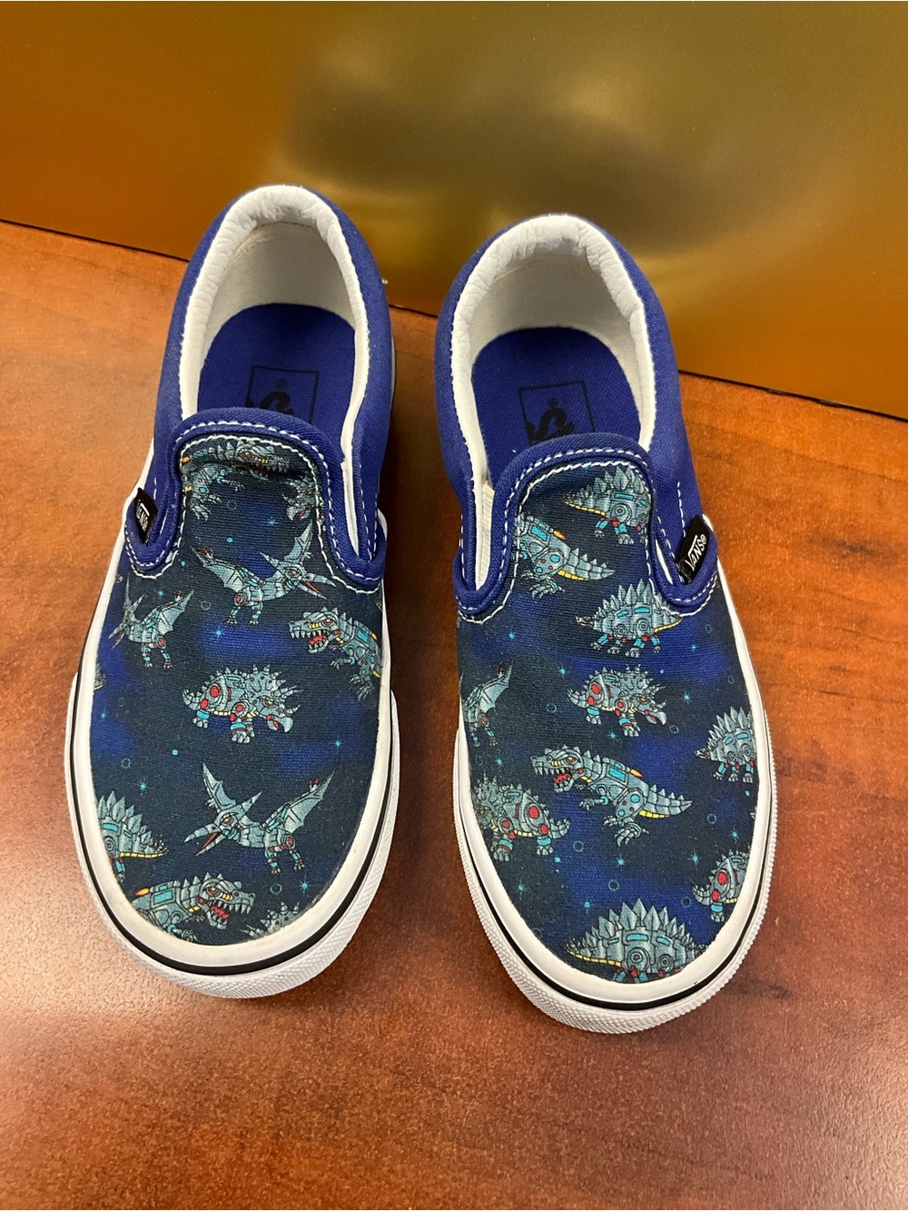 Vans Kids Slip-On Sneakers in Navy with Dinosaur Print